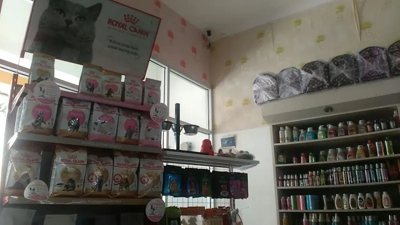 Mars Petshop: Tempat Terbaik untuk Hewan Peliharaan di Cilacap
